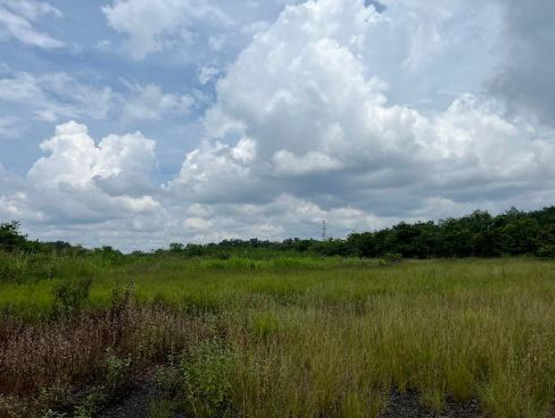 TANAH DI JALAN PRABUMULIH, PALEMBANG DENGAN LUAS 19.350m2